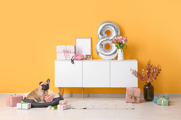 Cute French bulldog in pet bed with gifts, tulips and air balloon in shape of figure 8 near yellow...