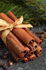 Different spices. Aromatic cinnamon sticks, clove seeds and fir branches on dark gray textured table, closeup