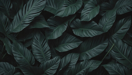 Tropical foliage backdrop for nature theme with dark leaves and space for text.