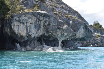 Naklejka premium El árbol de la vida, Chile Chico