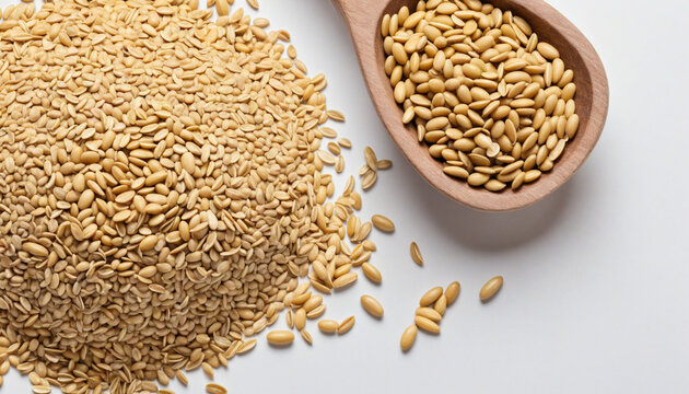 Sesame Seed is a plant that belongs to the Pedaliaceae family and is a valuable source of vegetable oil.