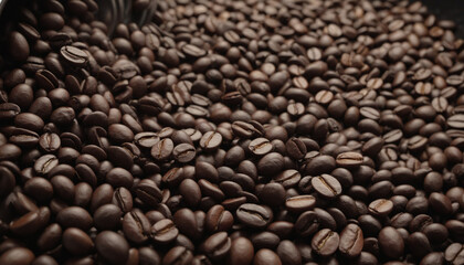 Roasted Coffee Beans - Freshly Processed