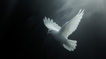 Obraz premium White Dove Soaring Gracefully With Spread Wings
