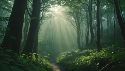 Foto op Plexiglas Journeying Through the Enigmatic Green Forest © SR07XC3