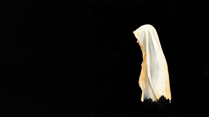 Virgin Mary on black background - obrazy, fototapety, plakaty