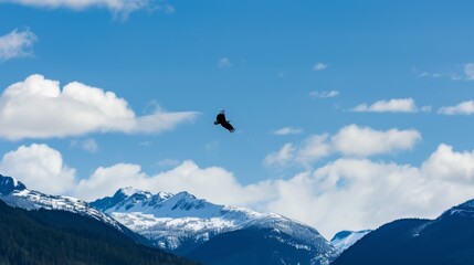 Majestic Bald Eagle in the Sky with Snow-Capped Peaks AI Generated.