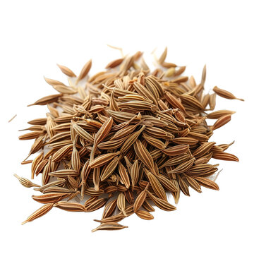 Cumin Isolated