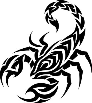 modern tribal tattoo scorpion, abstract line art of animals, minimalist contour. Vector