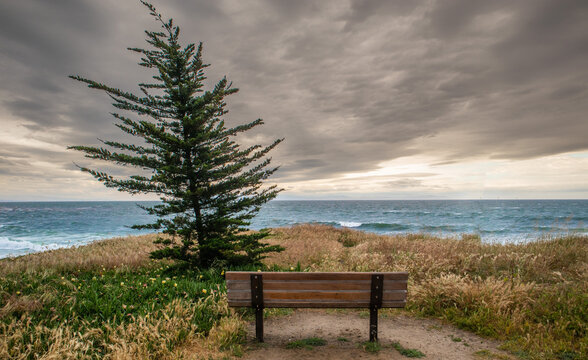 Lonely picnic bench on the beach 
