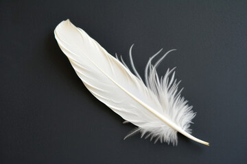 Obraz premium White Feather On Black Surface For Background Created Using Artificial Intelligence