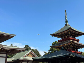 Fototapeta premium Travel to Japan