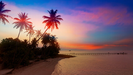 Banner Summer with colorful theme as palm trees background as texture frame background