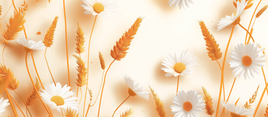 Grain wheat sheaves and daisies on white background  - obrazy, fototapety, plakaty