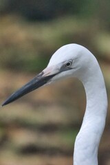 Port Douglas, Australia