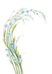 Fototapeta na wymiar Bouquet of blue Forget-Me-Not flowers with green leaves. Isolated floral design elements. Cute flower and green stems on white background. Digital painting Vintage design flowers.