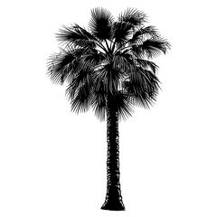 Silhouette palm dates black color only