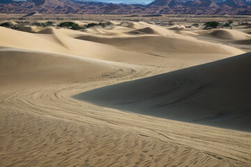 sand dunes in the desert