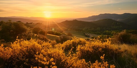 Golden sunrise over tranquil hills with blooming flowers. nature's beauty at dawn. scenic landscape photography. perfect for wall art and calendars. AI