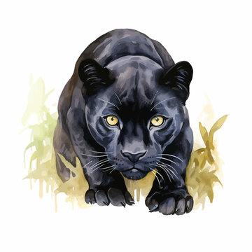 cartoon black panther stalking in watercolor painting style
