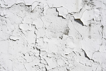 Fototapeta premium Texture of a white wall
