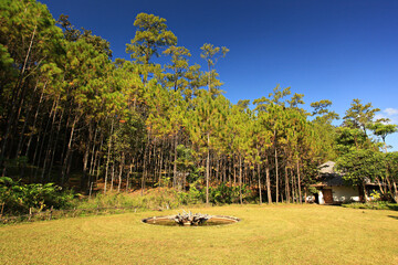 Fototapeta premium View of Pa-Son Watchan or FIO Watchan (Forest Industry Organization) Galyani Vadhana district. Chiang Mai, Thailand 