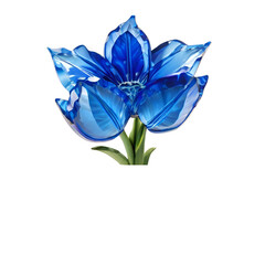 Beautiful tulip crystal illustration png.