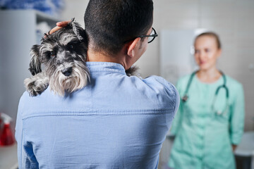 Sick domestic terrier dog at veterinarian visit with the owner