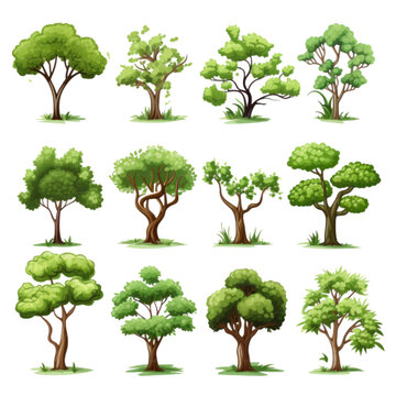 Set of trees, various, summer, vector, transparent background