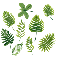 Badkamer foto achterwand Tropische bladeren Set of tropical leaves, vector, watercolor, variety, ornamental, transparent background.
