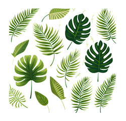 Naklejka premium Set of tropical leaves, vector, watercolor, variety, ornamental, transparent background.