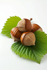 Hazelnut with leaves against a white background