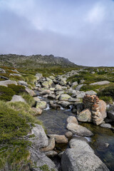 Stream in Mount Kosciusko National park