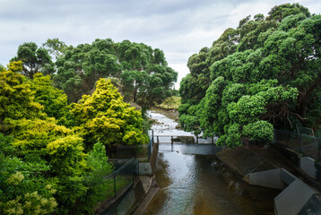 Fototapeta na wymiar Storm water rushing down Wairua stream at Milford. Auckland.