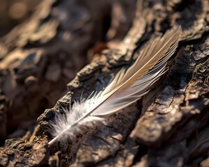 a white feather resting on a piece of wood