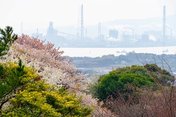 Fotobehang 海峡の見える春の丘に咲く桜20210326 © 魚住耕司