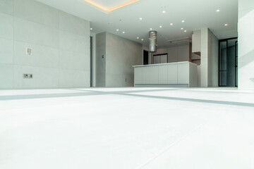 View of the renovated kitchen in the apartment