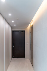 View of the renovated entrance door in the apartment