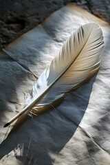 a white feather resting on a piece of paper
