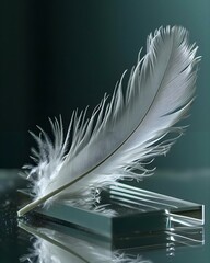 a white feather resting on a glass block