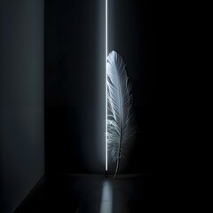 a white feather sitting on top of a black floor