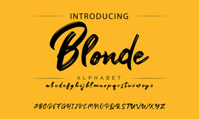 Fototapeta na wymiar Best Alphabet Painting Paint Brush Beauty Script Logotype Font lettering handwritten