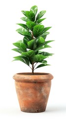 A potted plant with green leaves on a white background. Generative AI.