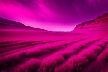 Poster Roze lavender field at sunrise