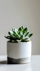 a white pot with a green plant in it