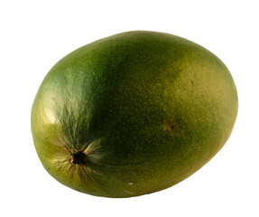 Green mango that has started to spoil. Sunlight.