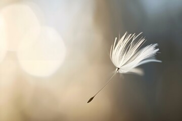 a dandelion blowing in the wind with a blurry background