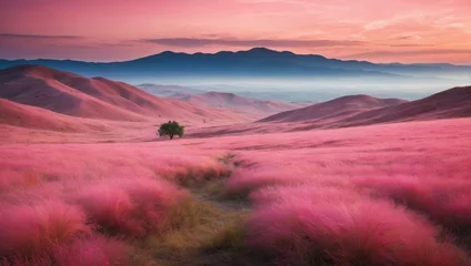 Gordijnen Beautiful pink Hairawn muhly landscape © Marpa