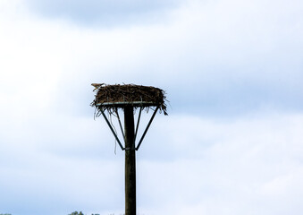 Stork nest on a lamppost against the cloudy sky.