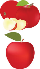 Suit red apple avatar vector art.
