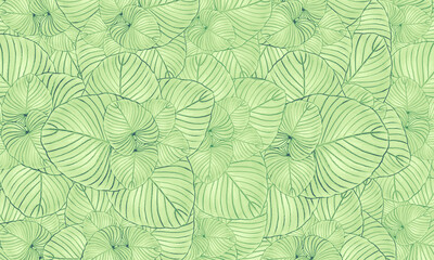 green tropical leaves  spring nature wallpaper background